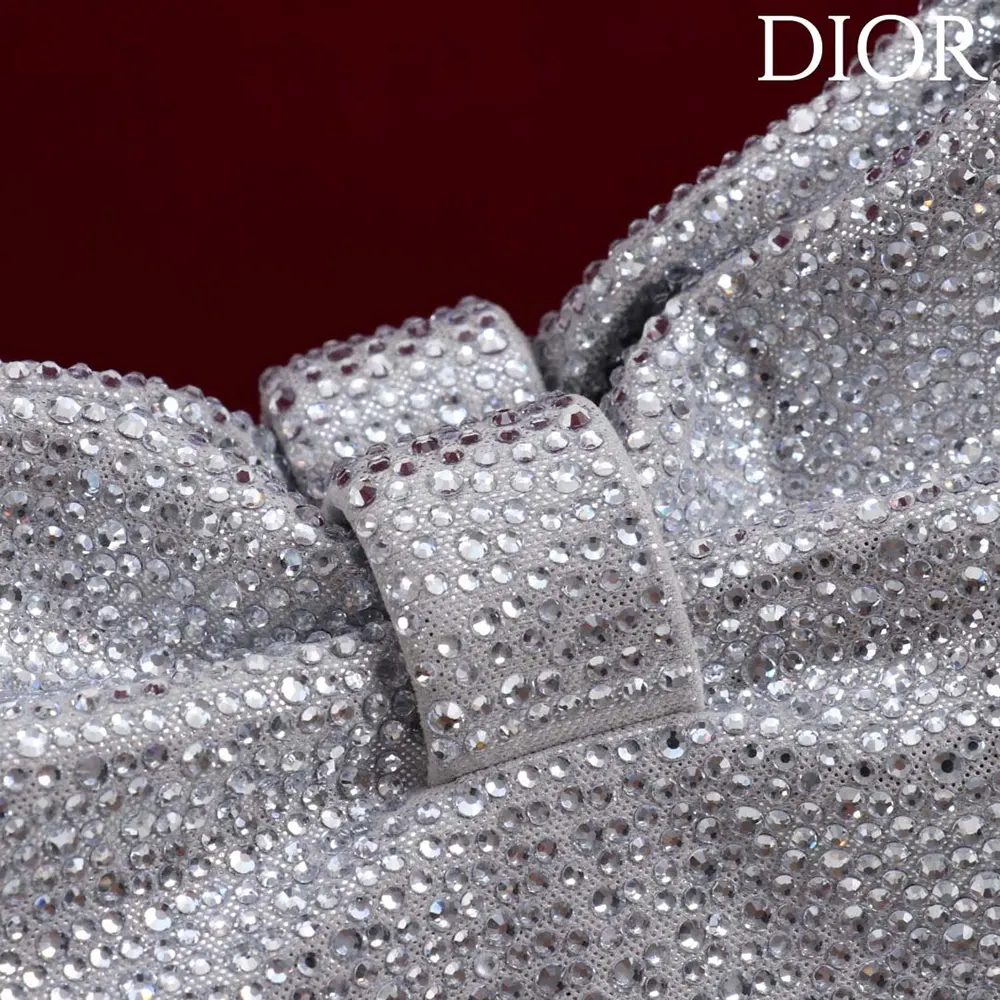 Dior Women Small Dior Bow Bag Silver-Tone Goatskin and Strass - image 8