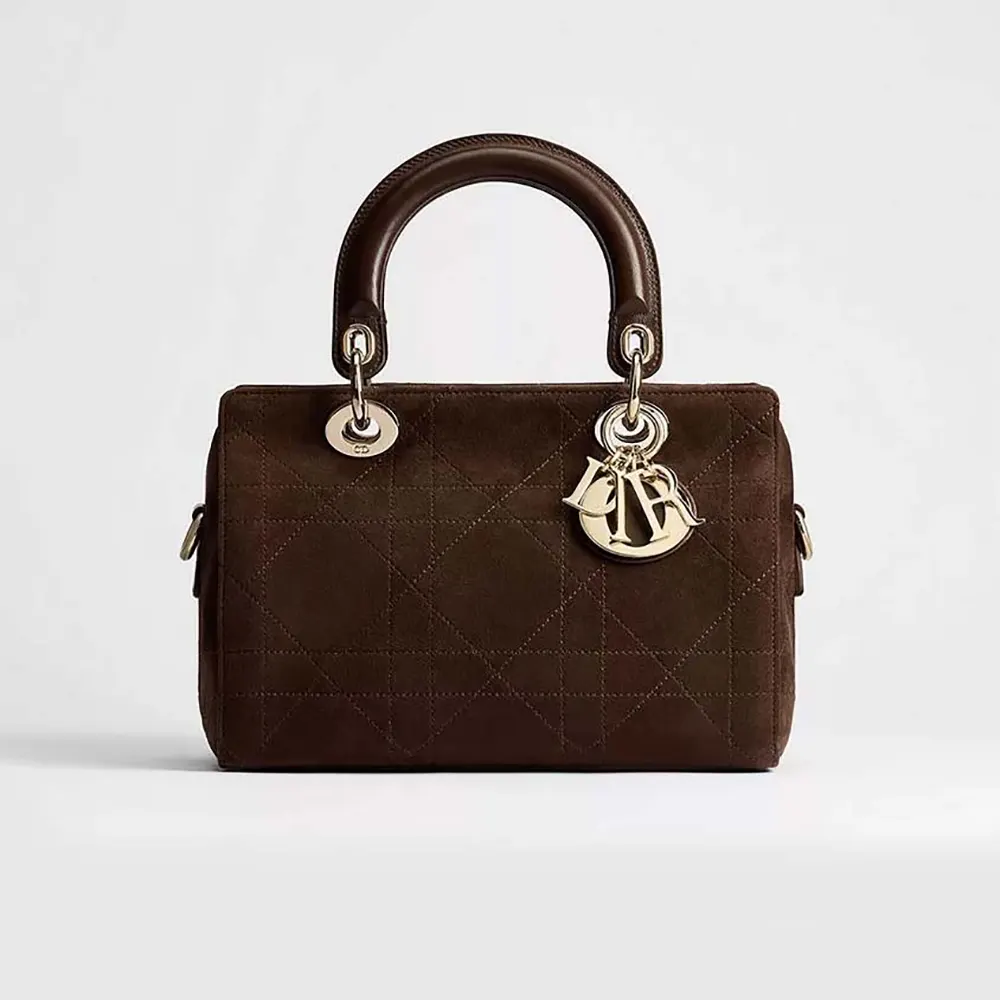 Front view of Dior Women Small Dior Granville Bag in Bordeaux suede