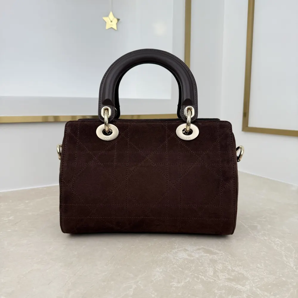 Side angle showing silhouette of Dior Women Small Dior Granville Bag