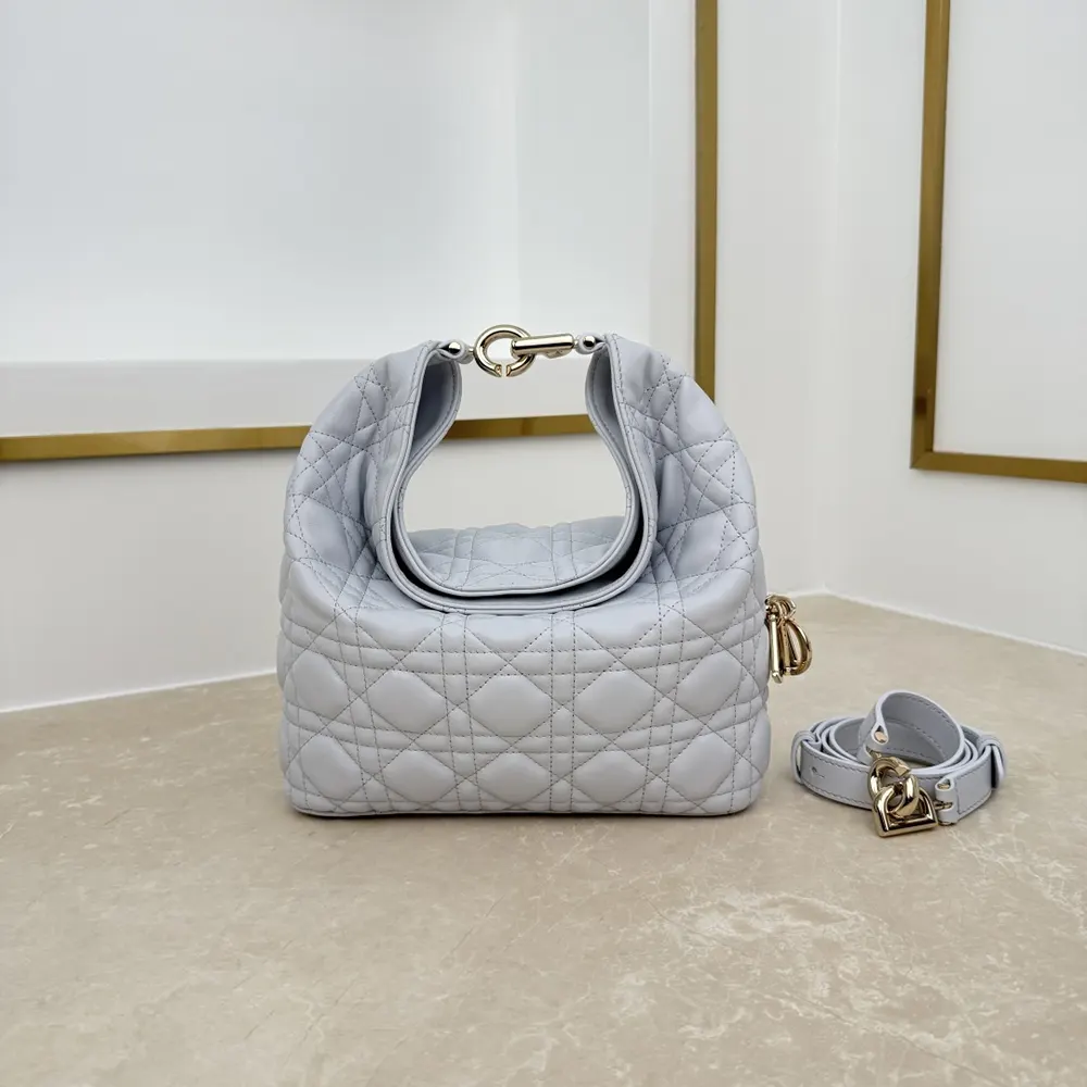 Side angle showing strap and silhouette of Dior Women Small Dior Toujours Hobo Bag Ice Blue