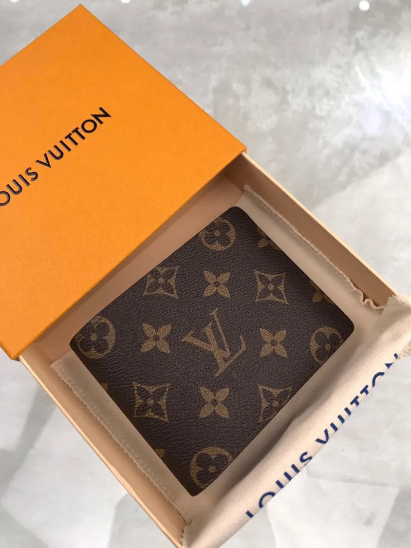 Louis Vuitton Multiple