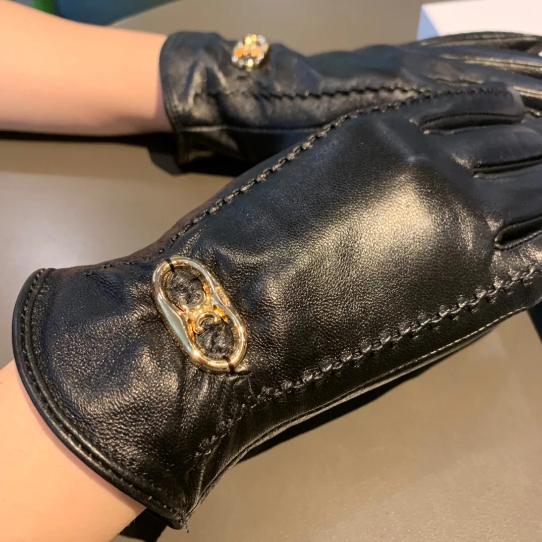 Celine Triomphe Gloves In Black - Image 3