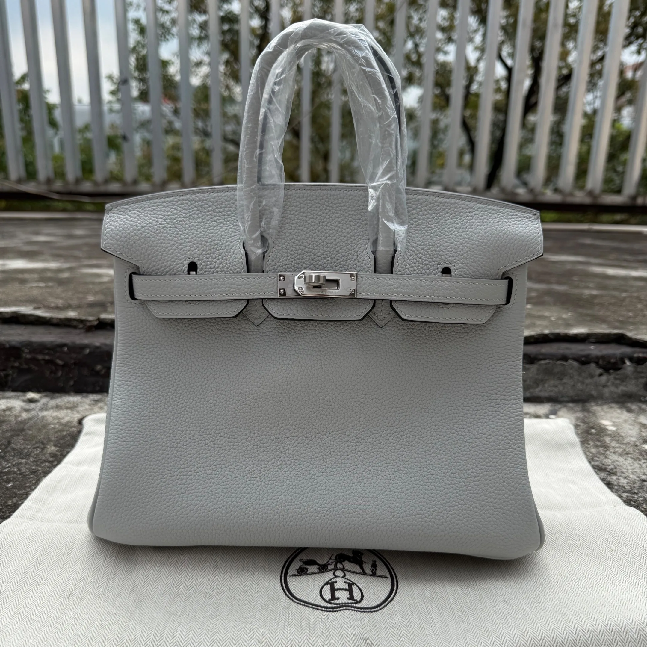 Hermes Birkin Top Handle Bag / Light Grey Silver Hardware - Image 4