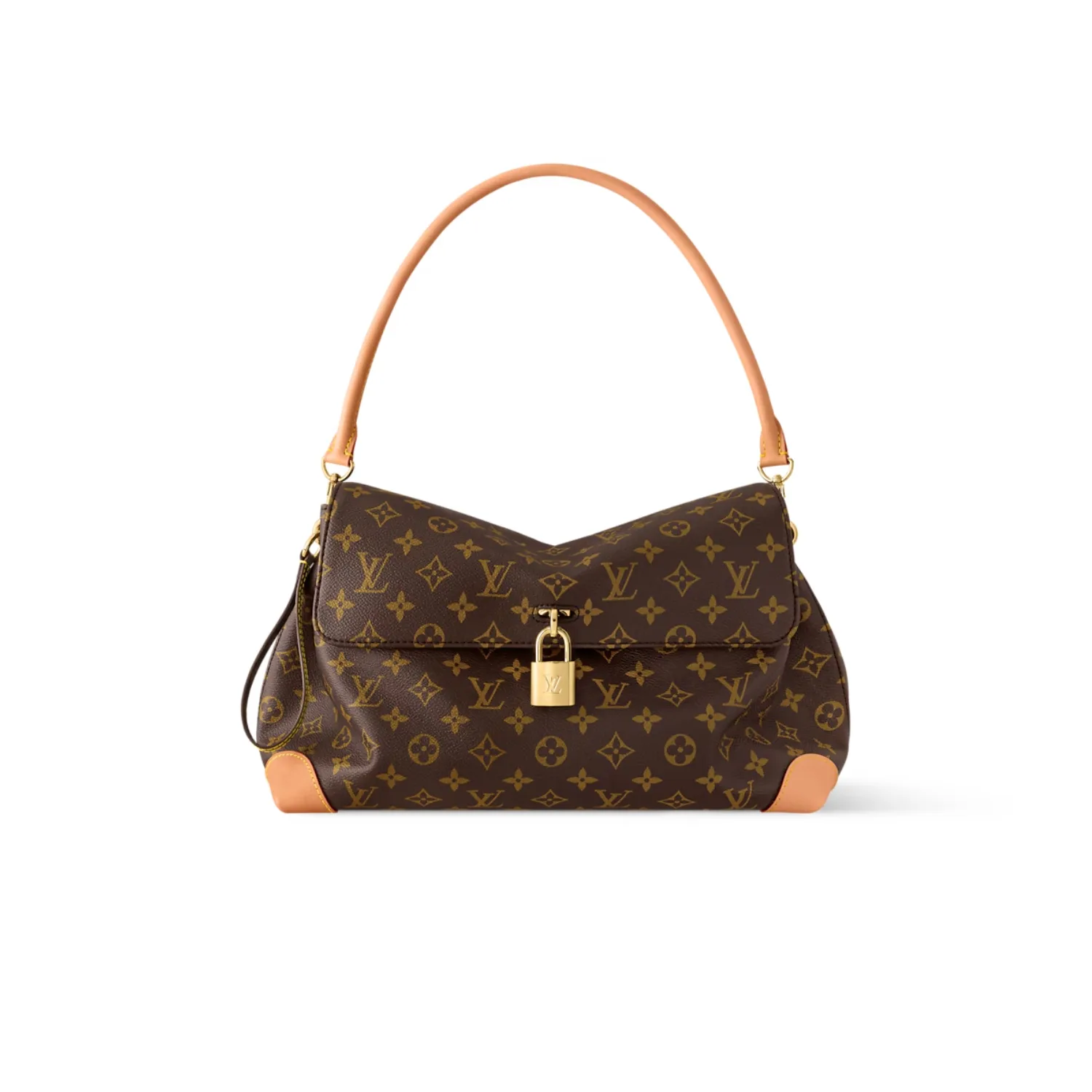 Louis Vuitton Hide