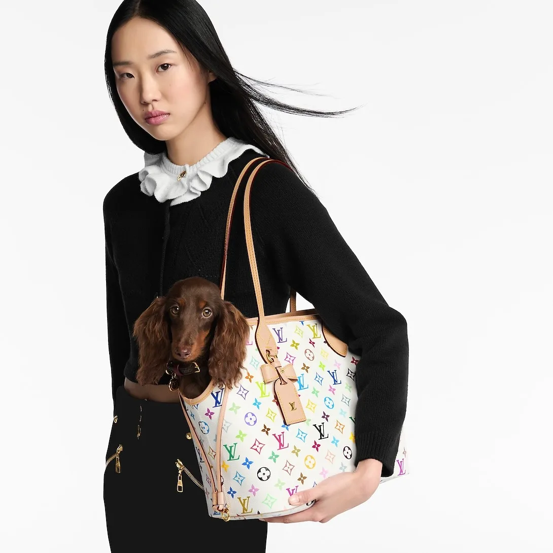 Alternative view of Louis Vuitton LV x TM Neverwoof Tote Bag / Multicolored Gold Hardware
