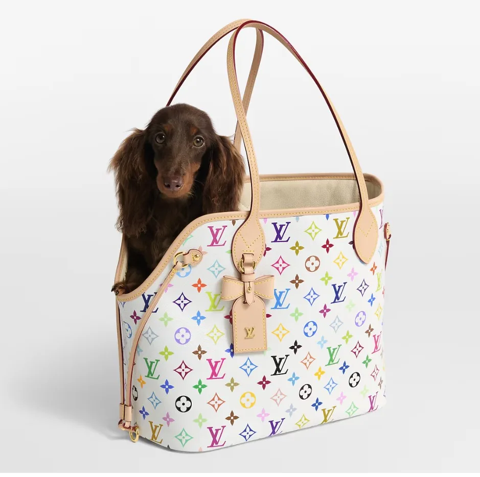Louis Vuitton LV x TM Neverwoof Tote Bag / Multicolored Gold Hardware - Image 3