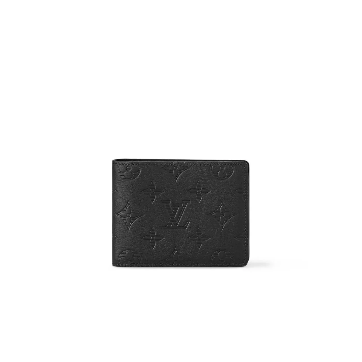 Louis Vuitton Multiple