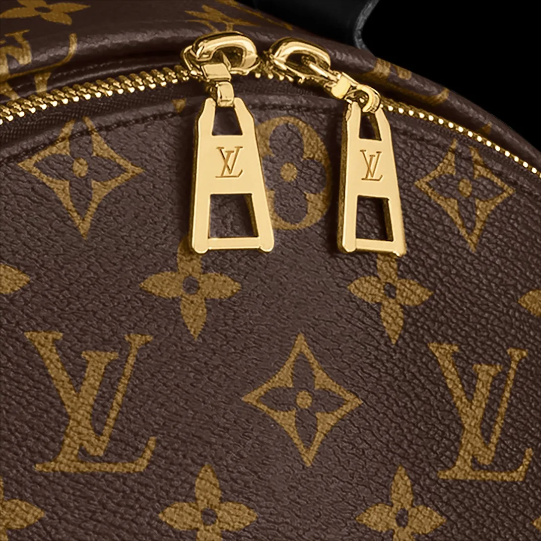 Louis Vuitton Palm Springs Mini Backpack - / - Image 6