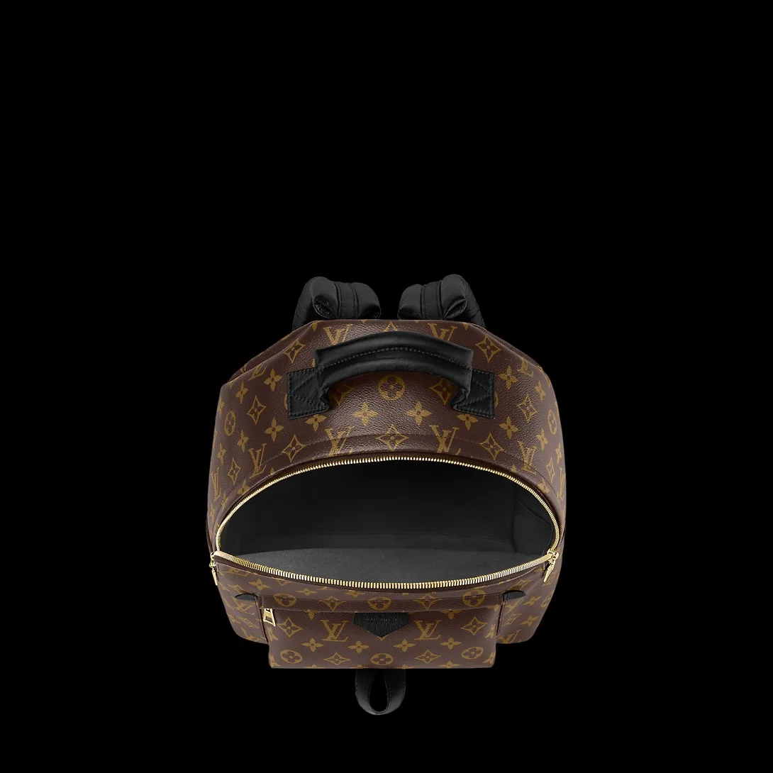 Louis Vuitton Palm Springs Mini Backpack - / - Image 4