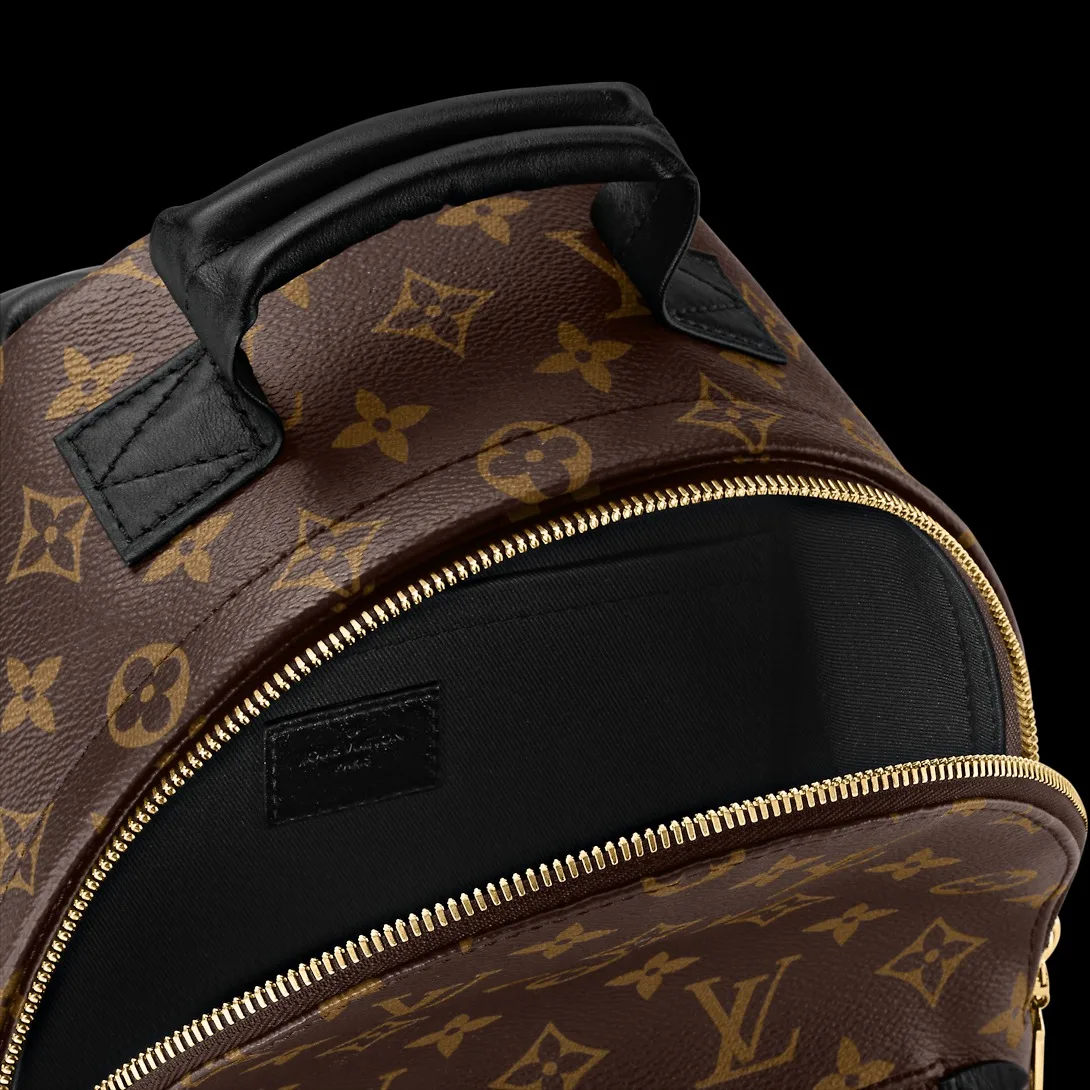 Louis Vuitton Palm Springs Mini Backpack - / - Image 3