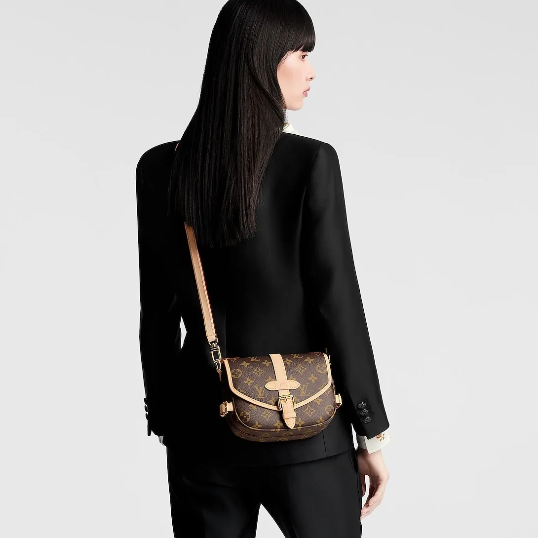 Louis Vuitton Saumur BB Monogram / - Image 3
