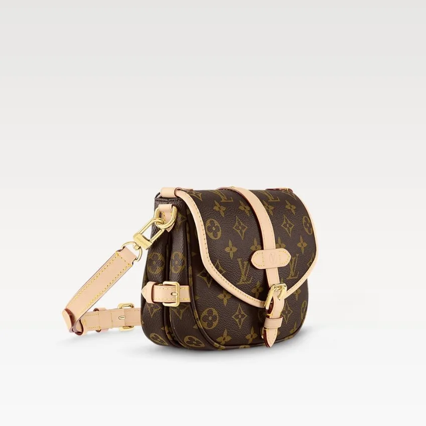 Louis Vuitton Saumur BB Monogram / - Image 4