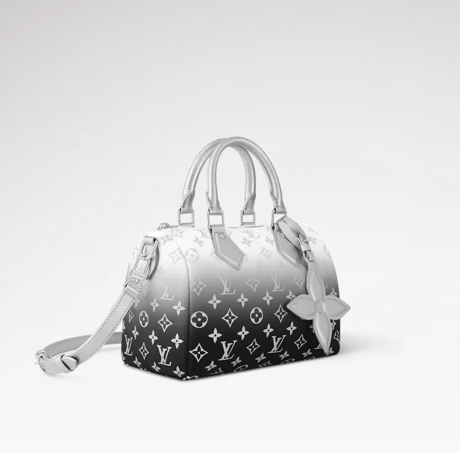 Louis Vuitton Speedy Bandouliere 25 Top Handle Bag / Frost Silver Hardware - Image 4