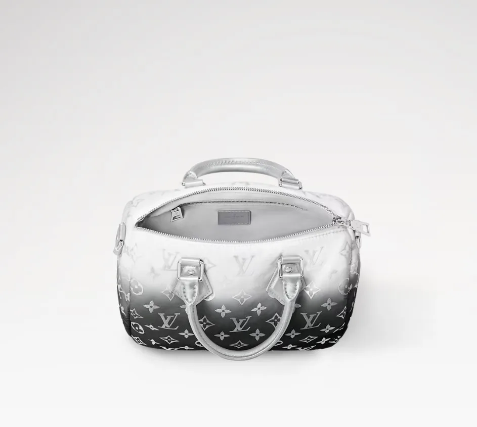 Louis Vuitton Speedy Bandouliere 25 Top Handle Bag / Frost Silver Hardware - Image 6