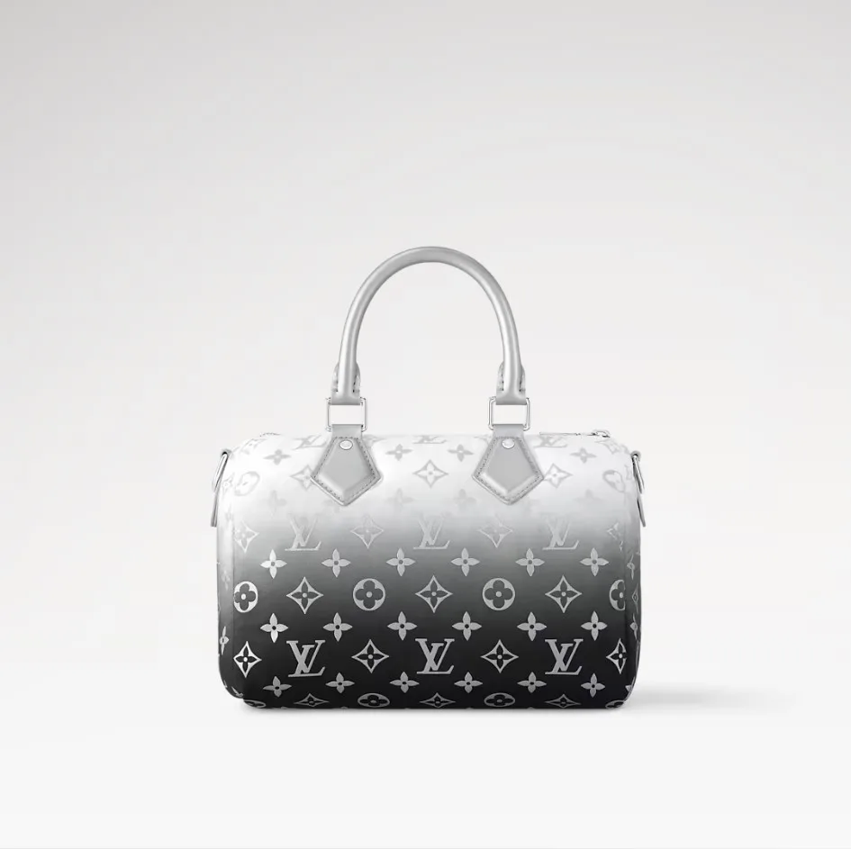 Louis Vuitton Speedy Bandouliere 25 Top Handle Bag / Frost Silver Hardware - Image 5