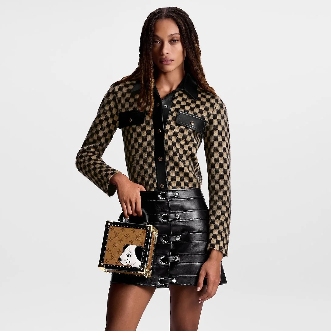 Louis Vuitton Mini Square Trunk Dalmatien Brown / - Image 2